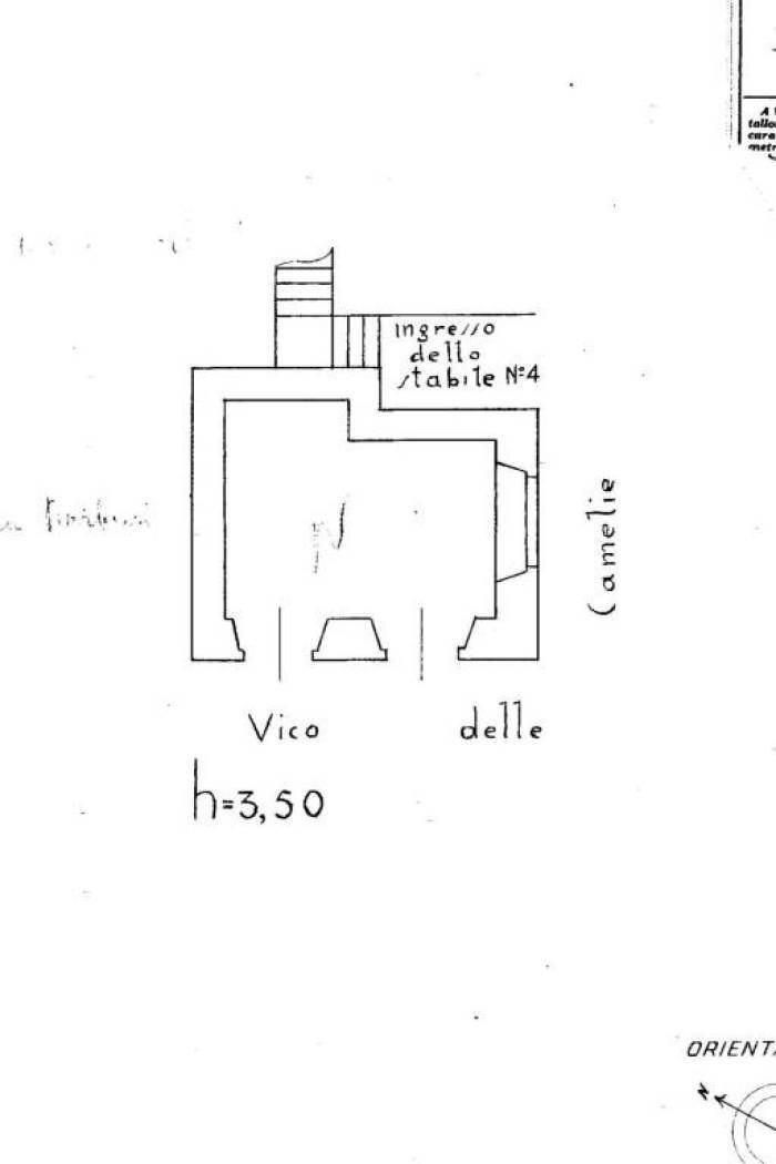 Negozio vico delle Camelie, 8, Genova (zona Centro Storico) - planimetria 1