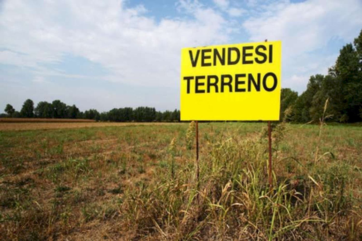 Foto 1 - Terreno edificabile Pasini
 
20, Cesano Maderno - foto 1