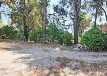 circondario - Villa Strada Santa Caterina
 
45, Nardò - photo 26