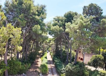 circondario - Villa Strada Santa Caterina
 
45, Nardò - photo 27