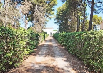 giardino - Villa Strada Santa Caterina
 
45, Nardò - photo 28