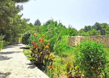 giardino - Hotel Gallipoli, Gallipoli - photo 10