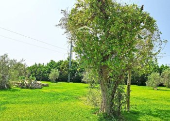 giardino - Hotel Gallipoli, Gallipoli - photo 13