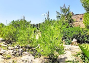 circondario - Hotel Gallipoli, Gallipoli - photo 23