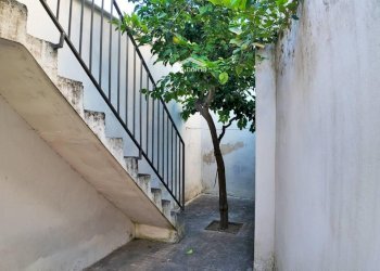 giardino - Casa semi indipendente via Vittorio Emanuele II
 
2, Zollino - foto 20