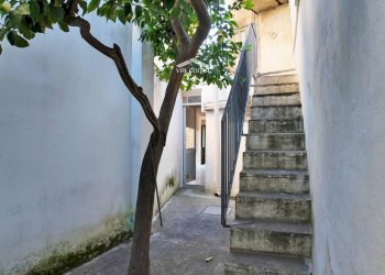 giardino - Casa semi indipendente via Vittorio Emanuele II
 
2, Zollino - foto 21