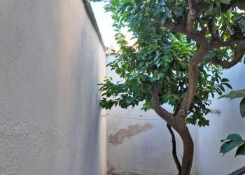 circondario - Casa semi indipendente via Vittorio Emanuele II
 
2, Zollino - foto 22