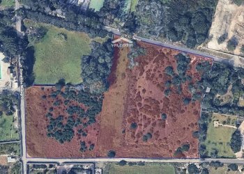 circondario - Agricultural land Luigi Tenco
 
0sc, Melendugno - photo 4