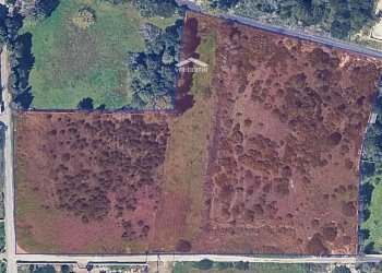 circondario - Agricultural land Luigi Tenco
 
0sc, Melendugno - photo 5