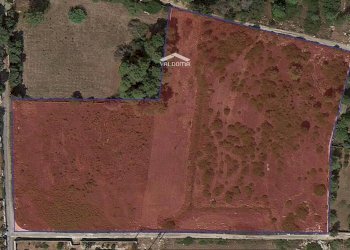 circondario - Agricultural land Luigi Tenco
 
0sc, Melendugno - photo 6