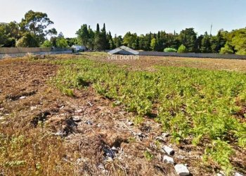 circondario - Agricultural land Luigi Tenco
 
0sc, Melendugno - photo 12