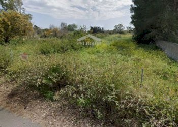 circondario - Agricultural land Luigi Tenco
 
0sc, Melendugno - photo 16