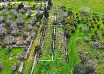 circondario - Rustico San Niceta, Melendugno - foto 25