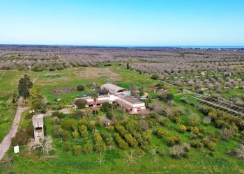 Foto 29 - Rustico San Niceta, Melendugno - foto 29