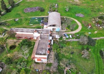 Foto 34 - Rustico San Niceta, Melendugno - foto 34