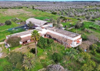 Foto 36 - Rustico San Niceta, Melendugno - foto 36