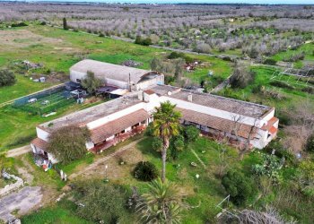 Foto 37 - Rustico San Niceta, Melendugno - foto 37