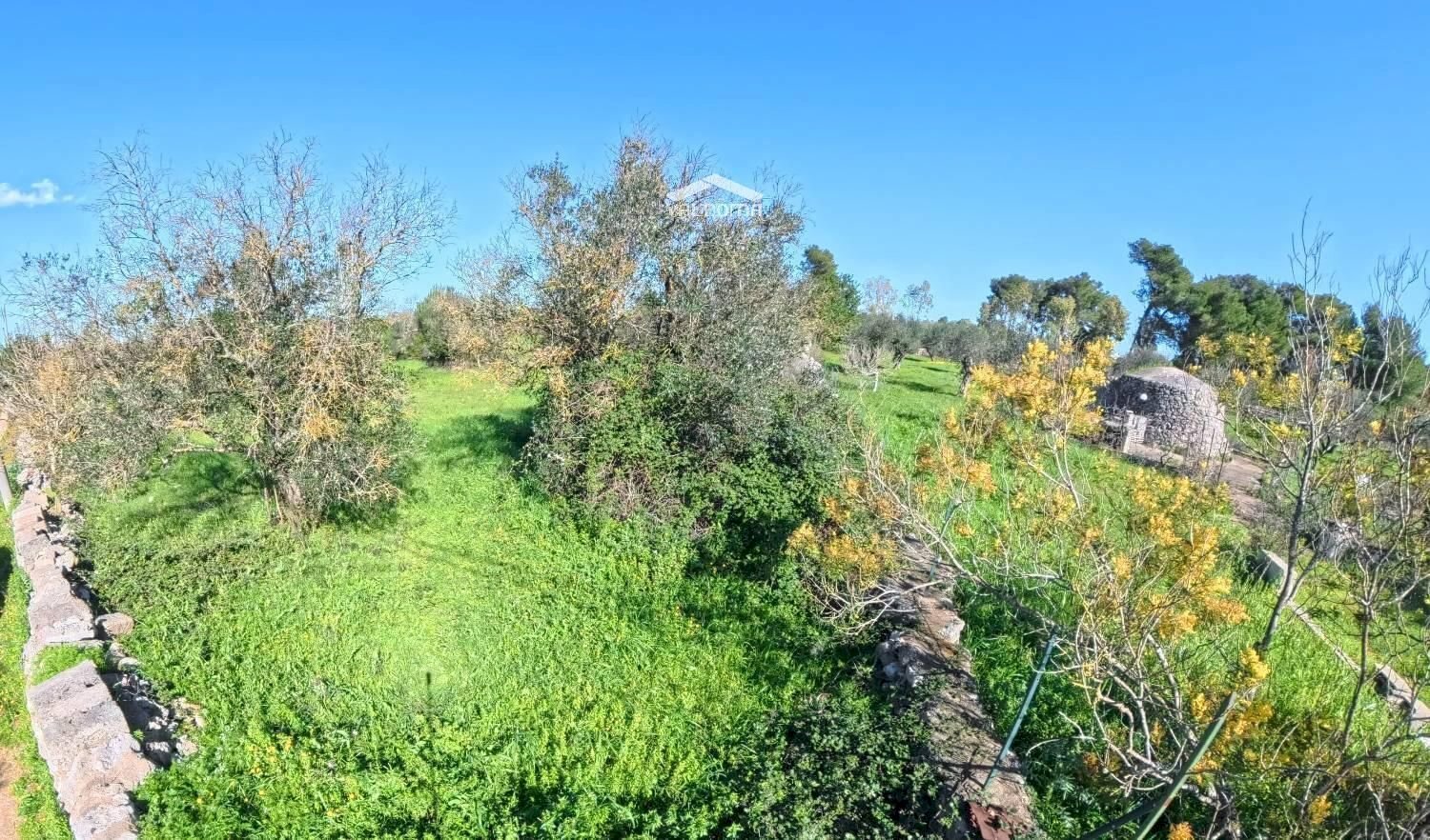 Foto 3 - Terreno edificabile 579P+8G Castrignano de' Greci LE, Italia, Castrignano de' Greci - foto 3