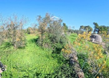 Foto 2 - Terreno edificabile 579P+8G Castrignano de' Greci LE, Italia, Castrignano de' Greci - foto 2