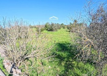 Foto 4 - Terreno edificabile 579P+8G Castrignano de' Greci LE, Italia, Castrignano de' Greci - foto 4