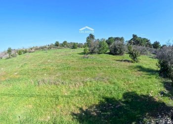 Foto 5 - Terreno edificabile 579P+8G Castrignano de' Greci LE, Italia, Castrignano de' Greci - foto 5