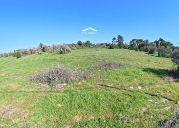 Foto 6 - Terreno edificabile 579P+8G Castrignano de' Greci LE, Italia, Castrignano de' Greci - foto 6