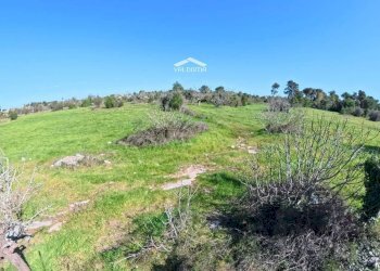 Foto 7 - Terreno edificabile 579P+8G Castrignano de' Greci LE, Italia, Castrignano de' Greci - foto 7