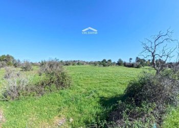 Foto 9 - Terreno edificabile 579P+8G Castrignano de' Greci LE, Italia, Castrignano de' Greci - foto 9