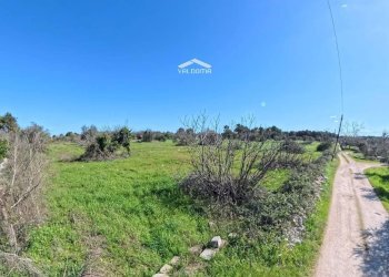 Foto 10 - Terreno edificabile 579P+8G Castrignano de' Greci LE, Italia, Castrignano de' Greci - foto 10