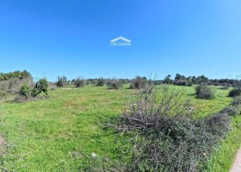 Foto 11 - Terreno edificabile 579P+8G Castrignano de' Greci LE, Italia, Castrignano de' Greci - foto 11