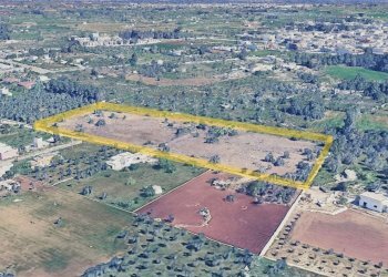 Foto 14 - Terreno edificabile 579P+8G Castrignano de' Greci LE, Italia, Castrignano de' Greci - foto 14