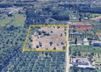 Foto 15 - Terreno edificabile 579P+8G Castrignano de' Greci LE, Italia, Castrignano de' Greci - foto 15