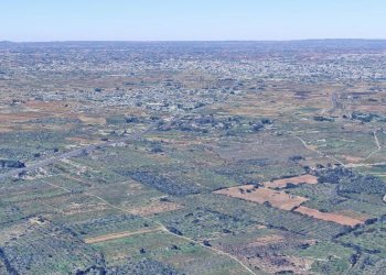 vista - Agricultural land Complanare
 
0sc, Vernole - photo 7