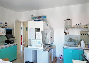 cucina - Ufficio Papa Pio XII
 
52, Poggiardo - foto 8
