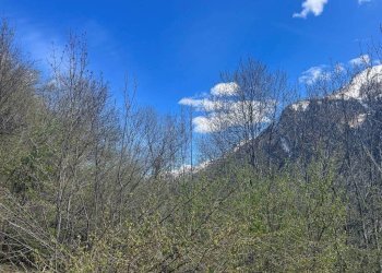 Terreno - Monolocale via Pontechianale, 68, Casteldelfino - foto 9