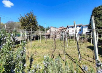 esterno - Rustic Via Trento e Trieste 2, Zermeghedo - photo 2