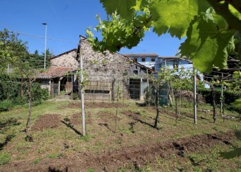cantina e magazzino - Rustic Via Trento e Trieste 2, Zermeghedo - photo 27
