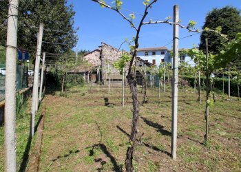 esterno - giardino - Rustic Via Trento e Trieste 2, Zermeghedo - photo 28