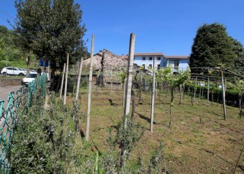 esterno - giardino - Rustic Via Trento e Trieste 2, Zermeghedo - photo 29