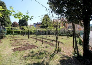 giardino - Rustic Via Trento e Trieste 2, Zermeghedo - photo 30
