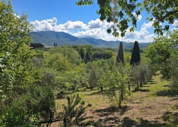 20250426_105709.jpg - Casale SP92 95, Baschi - foto 5