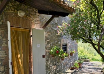 20250426_105511.jpg - Casale SP92 95, Baschi - foto 7