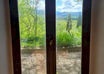 20250426_105049.jpg - Casale SP92 95, Baschi - foto 13