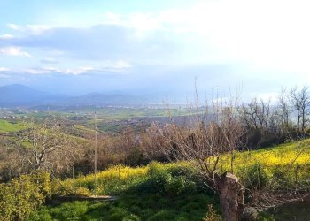 WhatsApp Image 2026-03-20 at 15.59.26.jpeg - Appartamento Via Teofilo Patini 31, Lanciano - foto 5