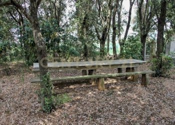 Villa Preselle-9.jpg - Casale Località Preselle sp 159, Scansano - photo 7