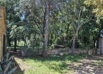 Villa Preselle-18.jpg - Casale Località Preselle sp 159, Scansano - photo 14