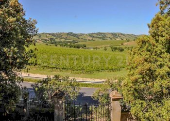 Villa Preselle-25.jpg - Casale Località Preselle sp 159, Scansano - photo 15