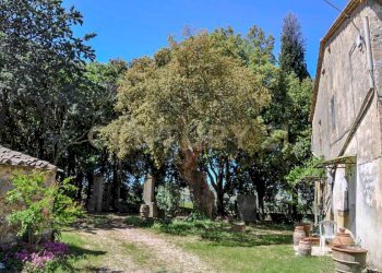 Villa Preselle-16.jpg - Casale Località Preselle sp 159, Scansano - photo 19