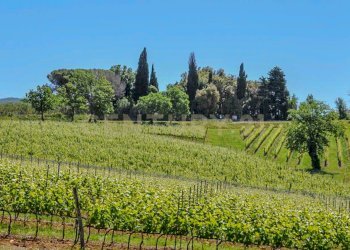 Villa Preselle-15.jpg - Casale Località Preselle sp 159, Scansano - photo 26