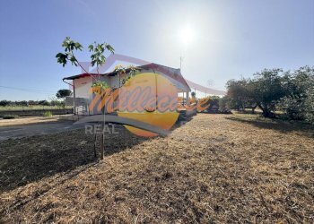 a0c500f4-1b90-4861-bc2d-a68f776d64b4.jpeg - Villa Traversa San Francesco, Siracusa - photo 17